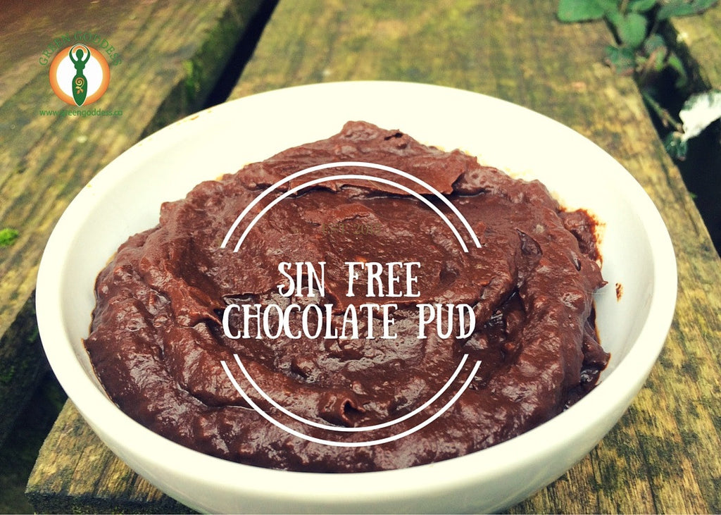 Sin Free Chocolate Pud