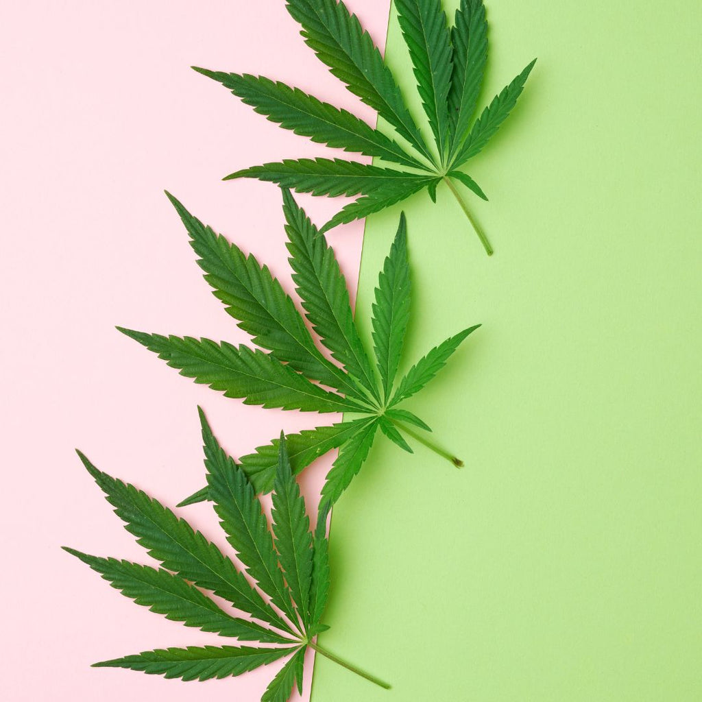 What does CBD broad spectrum mean?