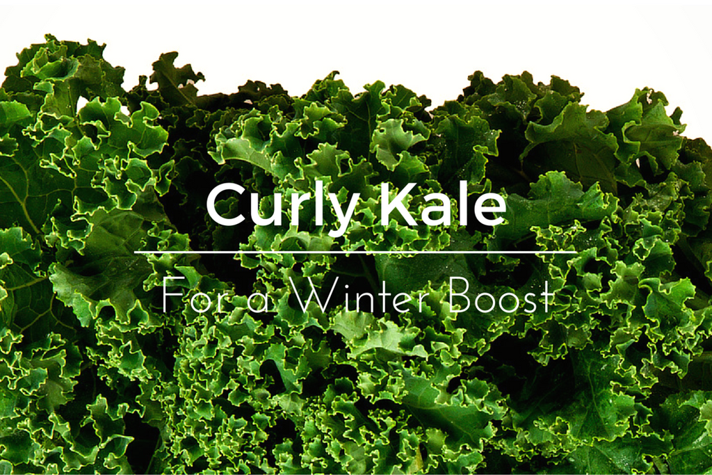 Curly Kale – The Winter Body Booster