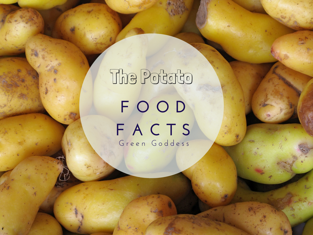 Harness The Power Of The Spud
