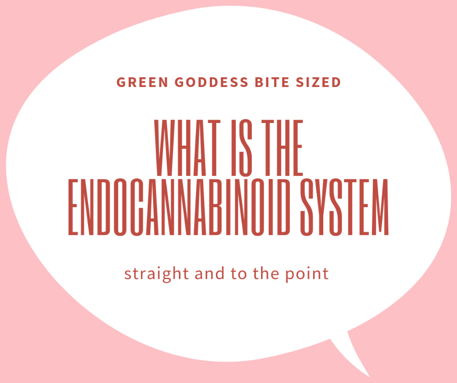 What is the Endocannabinoid System?